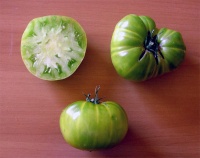 Tomate charlie s green op.jpg