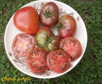 Tomate clario purple.jpg