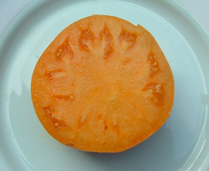 Fichier:Tomate cleota yellow-1.jpg