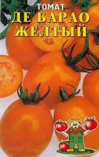 Tomate de barao yellow op-1.jpg