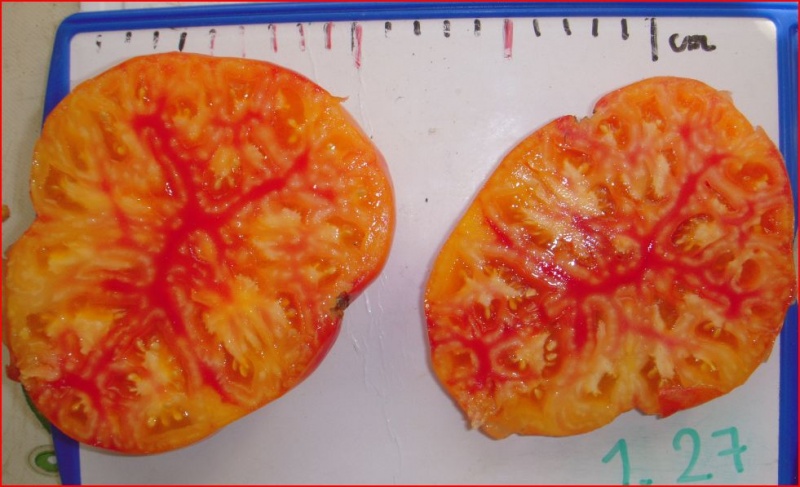 Fichier:Tomate deweese streaked op-2.jpg