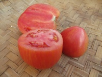 Tomate don juan-1.jpg