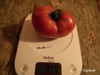 Tomate donskoi-1.jpg