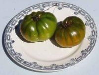 Tomate evergreen op.jpg