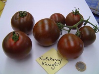 Tomate fioletovyi kruglyi.jpg