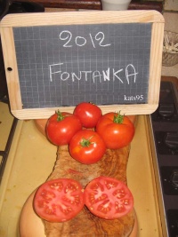 Tomate fontanka.jpg