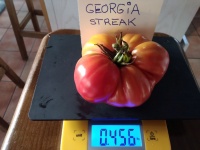 Tomate georgia streak-1.jpg
