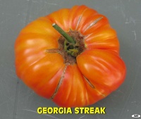 Tomate georgia streak.jpg