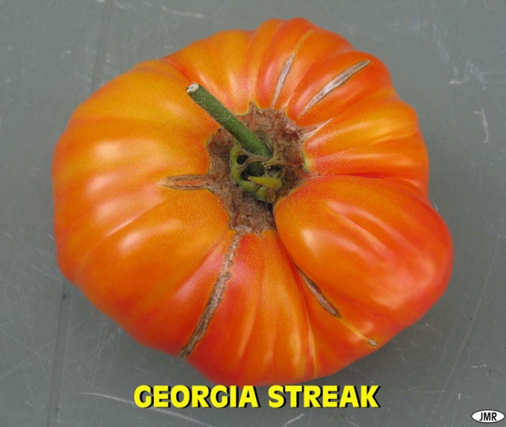 Fichier:Tomate georgia streak.jpg