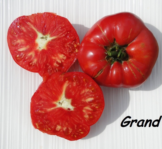 Fichier:Tomate german pink.jpg