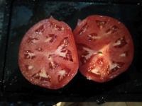 Tomate giant syrian-2.jpg