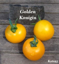 Tomate golden konigin.jpg