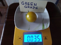 Tomate green grape op-1.jpg