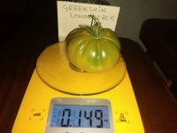 Tomate green skin longkeeper op-1.jpg