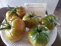Tomate green skin longkeeper op-2.jpg