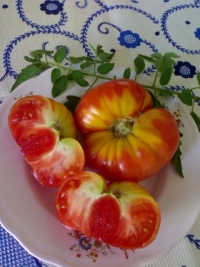 Tomate gregory altaï op.jpg