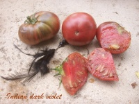 Tomate indian dark violet beefsteak.jpg