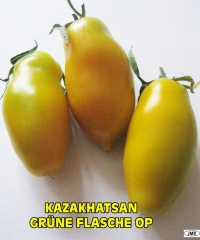 Tomate kazahatsan grüne flasche op-1.jpg