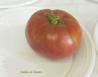 Tomate korean love.jpg