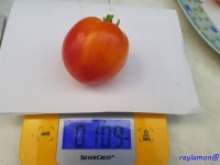 Tomate little lucky heart-2.jpg