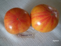 Tomate mandarin cross.jpg