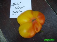 Tomate marvel striped-2.jpg