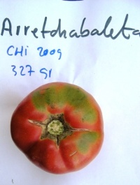 Tomate morado de aretxabaleta.jpg
