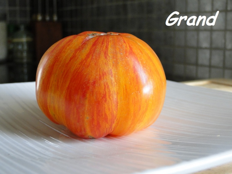 Fichier:Tomate mr stripey-1.jpg