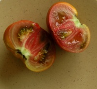 Tomate negral de almeria-2.jpg