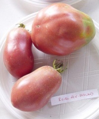 Tomate new zeland pear-1.jpg