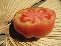 Tomate old flame-2.jpg