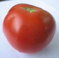 Tomate opal homestead-1.jpg