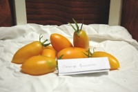 Tomate orange banana-1.jpg