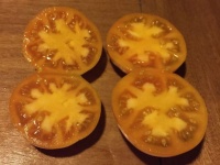 Tomate orange fleshed purple smudge-2.jpg