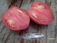 Tomate oscar gonthier-2.jpg