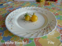 Tomate peche blanche-1.jpg