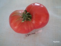 Tomate pik s yugo-2.jpg