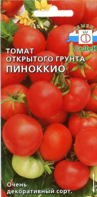 Tomate pinnochio-1.jpg