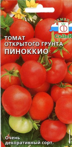 Fichier:Tomate pinnochio-1.jpg