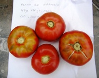 Tomate plano d erandio.jpg