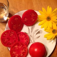Tomate plourde-2.jpg