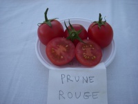 Tomate prune rouge.jpg