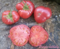Tomate purple hillbilly.jpg