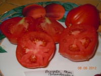 Tomate purple pear brandywine-2.jpg