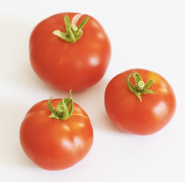 Fichier:Tomate reine des hatives.jpg