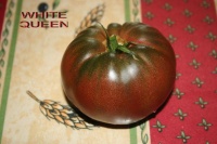 Tomate roger s best black-1.jpg