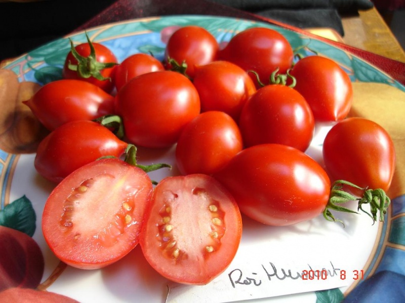 Fichier:Tomate roi humbert-2.jpg