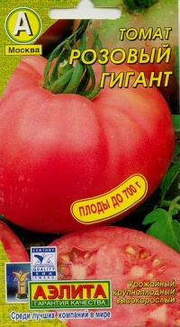 Tomate rozovyi gigant.jpg