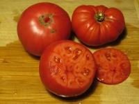 Tomate schlesische himbeere op.jpg