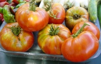 Tomate steack russe-2.jpg